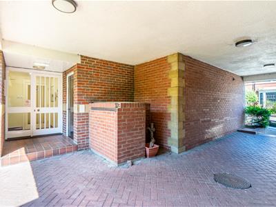 Picture 17